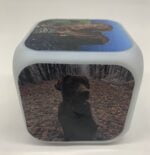 Klokje met wekker - Afbeelding 2