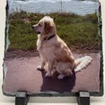 Leisteen vierkant 15 x 15 cm