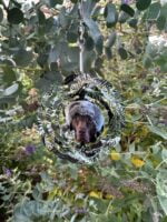 Windvanger voor in de kerstboom - Afbeelding 2