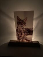 Acrylglas - Afbeelding 2