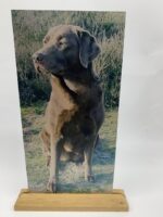 Foto bedrukt op aluminium in verschillende maten - Afbeelding 4