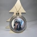 Gekleurde achterkant met eigen foto