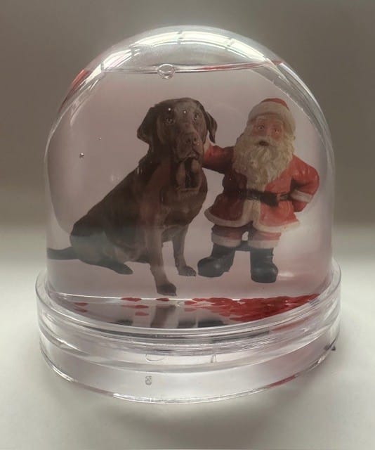 1 Schudbol met foto - Afbeelding 1